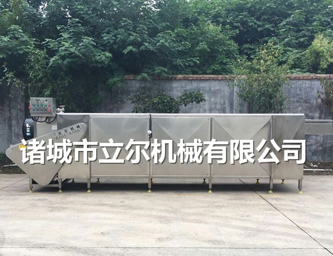 葡萄干干果類(lèi)產(chǎn)品用烘干流水線